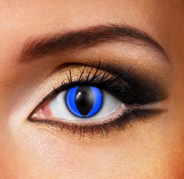 Blue Cat Contact Lenses (Pair)
